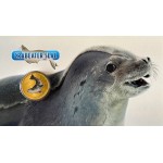 2018 Crabeater Seal Australian PNC with Coloured Tuvalu $1 Coin 7500 Limited