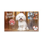 2025 Best Friends Paw Shape Limited Medallion FDC Cover | Dogs