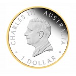 40th Anniversary of the Australian Nugget Gold Coin Program 2026 1oz Silver Proof Gilded Coin