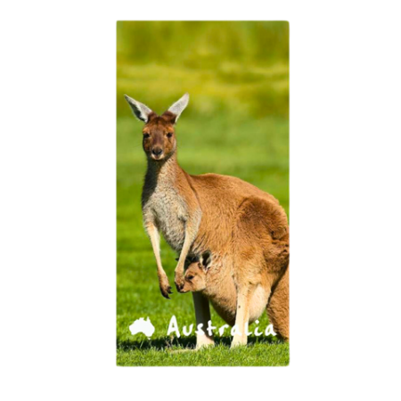 My Australia Large Microfiber Beach Towel 160 x 80 cm | Australia Kangaroo & Joey