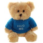 Teddy & Friends Brand Small Golden Bear with Hug Me Jumper Soft Plush Toy 15cm