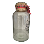 Rogue Clear Specimen Style 20cm Clear Glass Vase | Country Flower
