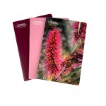 Australian Geographic A5 Size Native Flower Notebook Trio & Pens | Pink