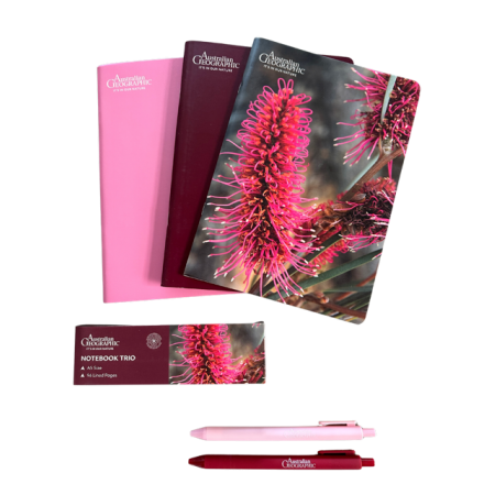 Australian Geographic A5 Size Native Flower Notebook Trio & Pens | Pink