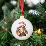 Splosh Home & Gift Christmas Glass Hanging Bauble| Dachshund