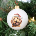 Splosh Home & Gift Christmas Glass Hanging Bauble| Cavoodle
