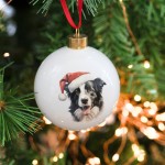 Splosh Home & Gift Christmas Glass Hanging Bauble| Border Collie