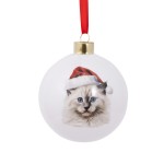 Splosh Home & Gift Christmas Glass Hanging Bauble| Christmas Cats