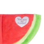 Toasty Hugs Quotes Soft Microwave Plush by SPLOSH | Winnie Watermelon