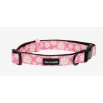 Frank Barker by Splosh Pink Daisies Dog Collar | Four Sizes