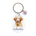 Pet Keyring with Charm | Labrador