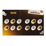 100 Years of Hawthorn Football Club $1.70 Stamp Pack Collector Folder | 2025