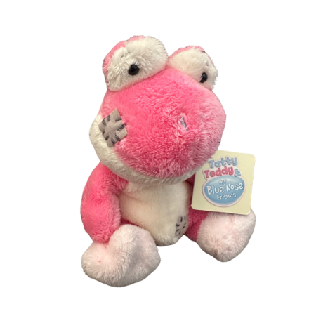 Tatty Teddy My Blue Nose Friends Plush | Tica Tree Frog