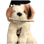 Teddy & Friends Brand Soft Ritzy Graduation Puppy Plush Momento | Brown & Tan 33cm