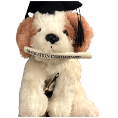 Teddy & Friends Brand Soft Ritzy Graduation Puppy Plush Momento | Brown & Tan 33cm