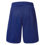 LW Reid McKay Mesh Shorts with Side Splits - Royal Blue