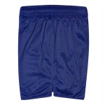 LW Reid McKay Mesh Shorts with Side Splits - Royal Blue