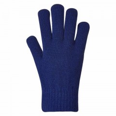 LW Reid Evans Children's Stretch School Gloves LWR 4150CG / Dark Royal Blue