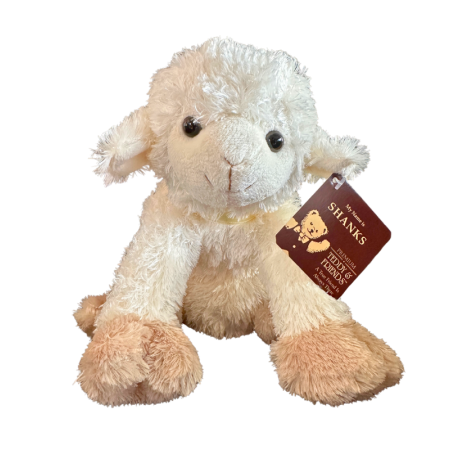 Teddy & Friends Brand Shanks Farm Sheep Soft Plush Toy 24cm