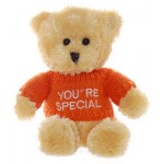 Teddy & Friends Brand Small Golden Bear with You're Special Jumper Soft Plush Toy 15cm